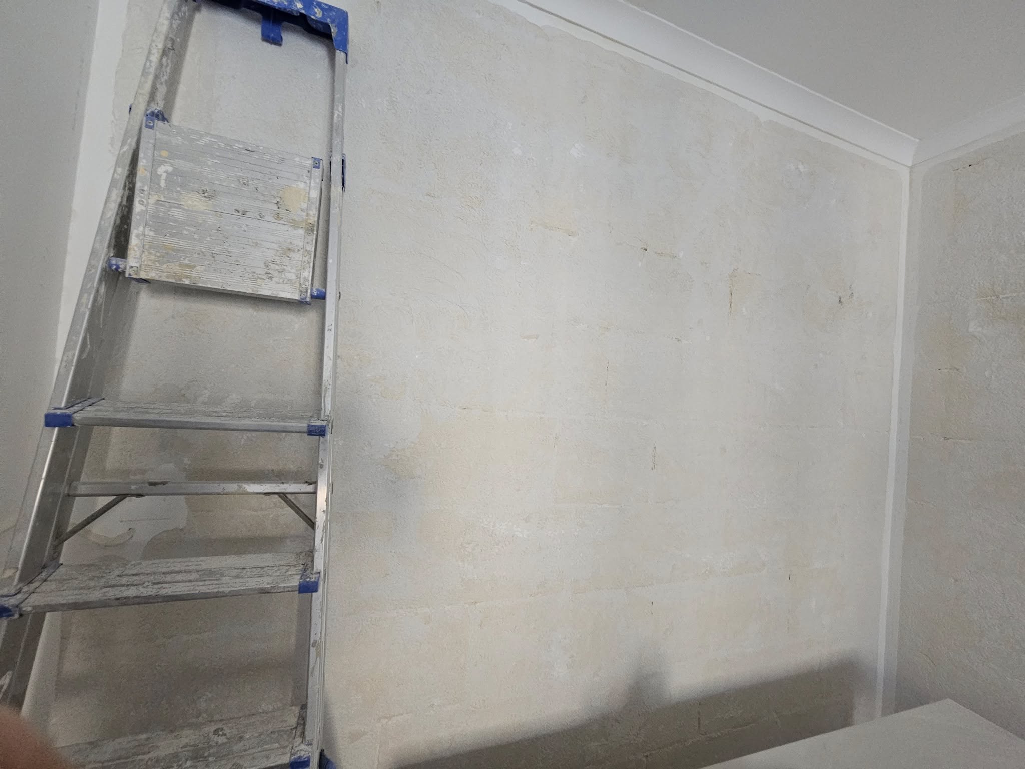 Gypsum Project 4